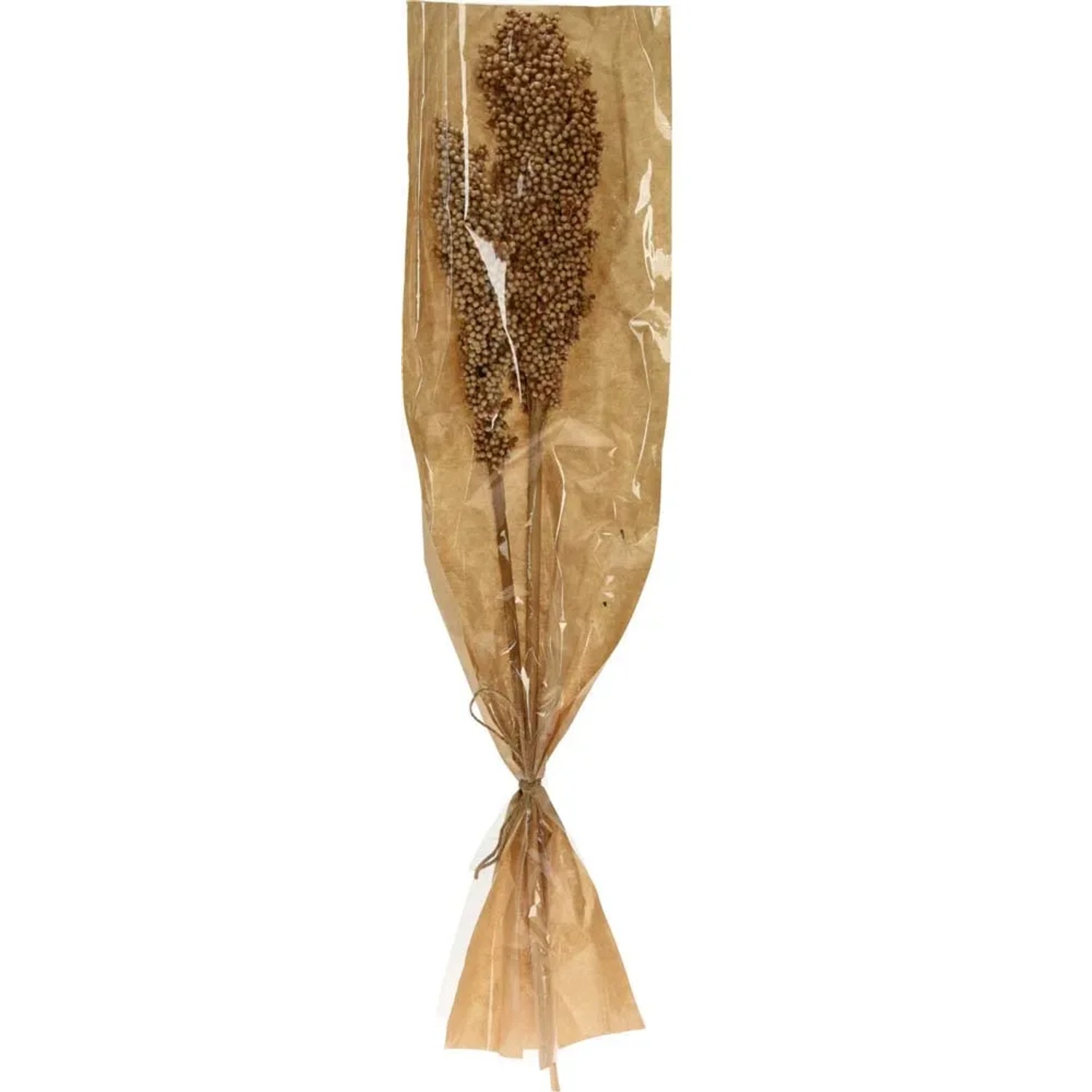 Bukiet Susz Natura C mix - wys. 60 cm