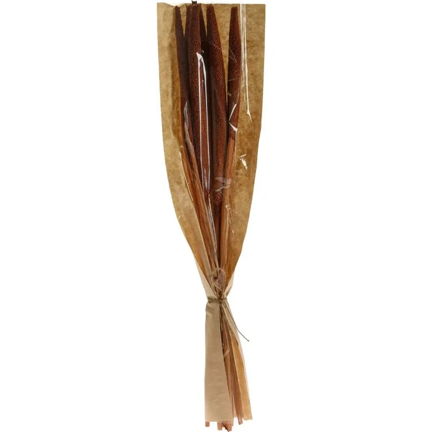 Bukiet Susz Natura B mix - wys. 60 cm