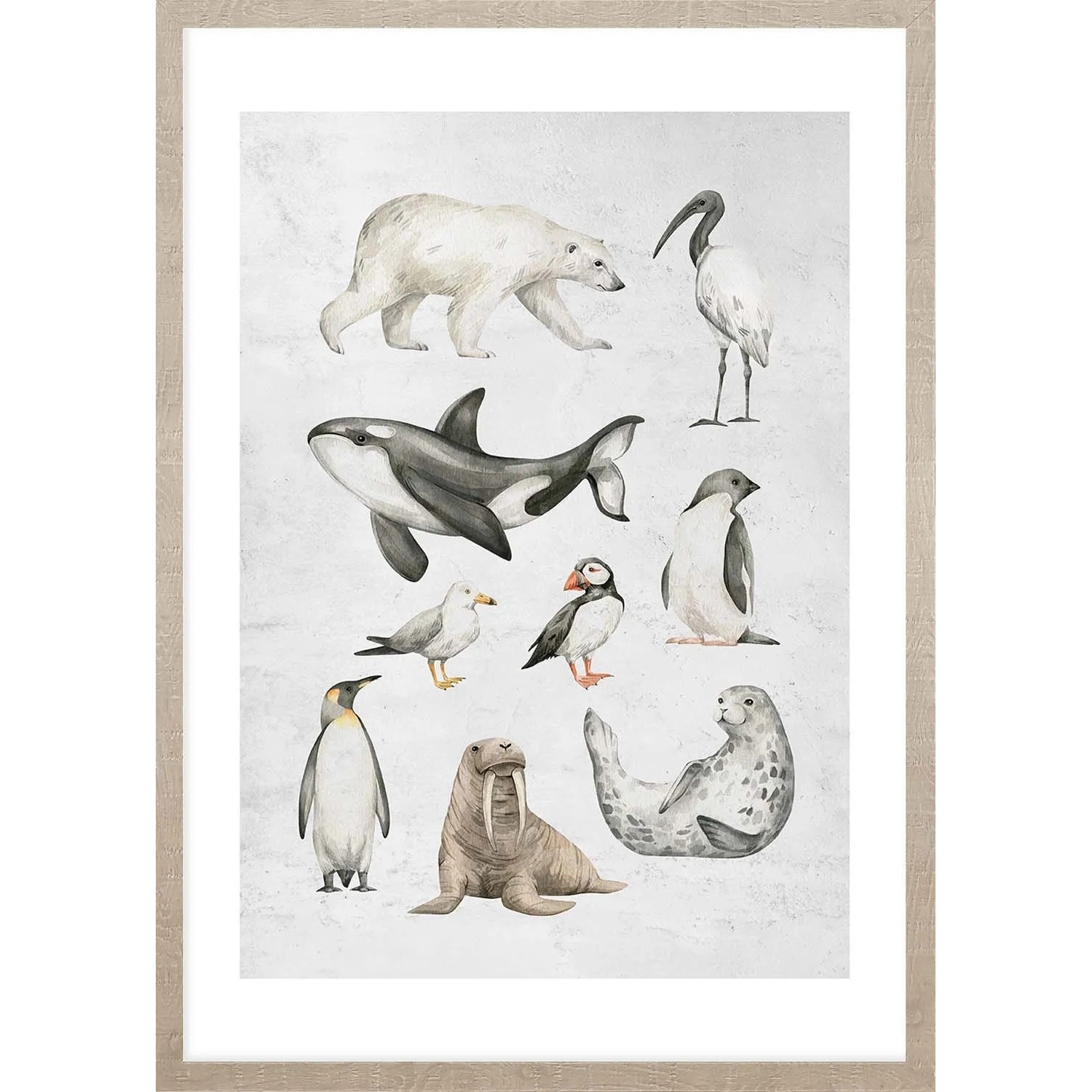 ARS LONGA Obraz OCEAN ANIMALS 53 x 73 cm