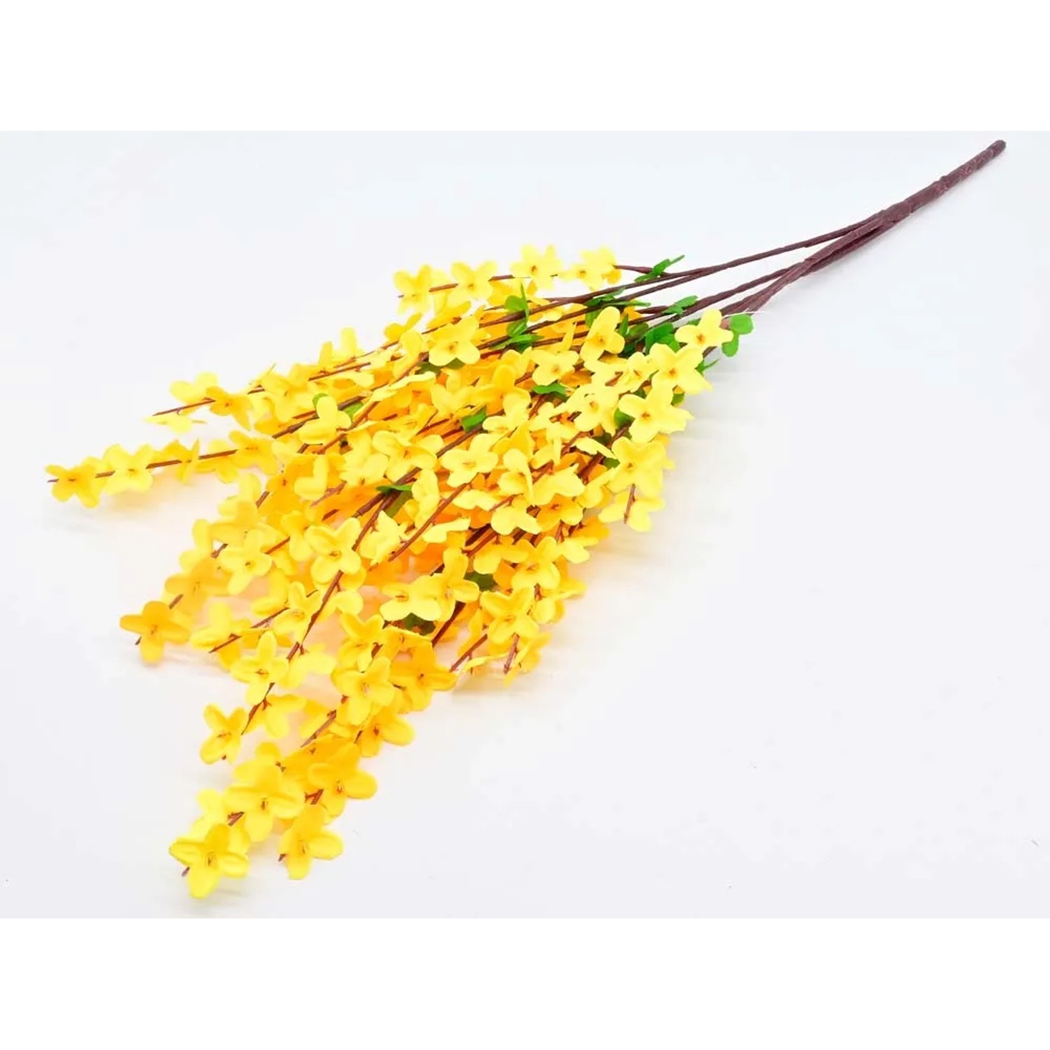 Forsycja bukiet - wys. 60 cm