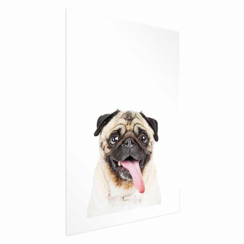 Plakat Artgeist Mops 21x30 cm bez ramy 1 szt