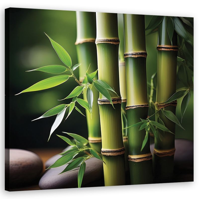 Obraz do salonu sypialni Feeby Orientalny Bambus Zen 50x50 cm 1szt