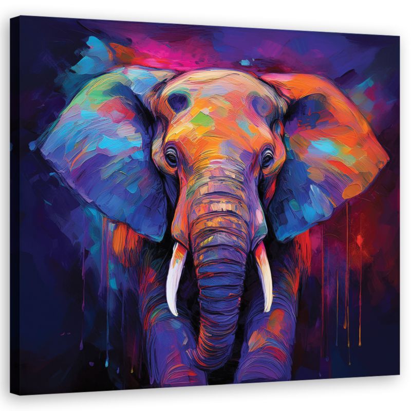 Obraz do salonu sypialni Feeby Kolorowe Zwierzęta Słonie 60x60 cm 1szt