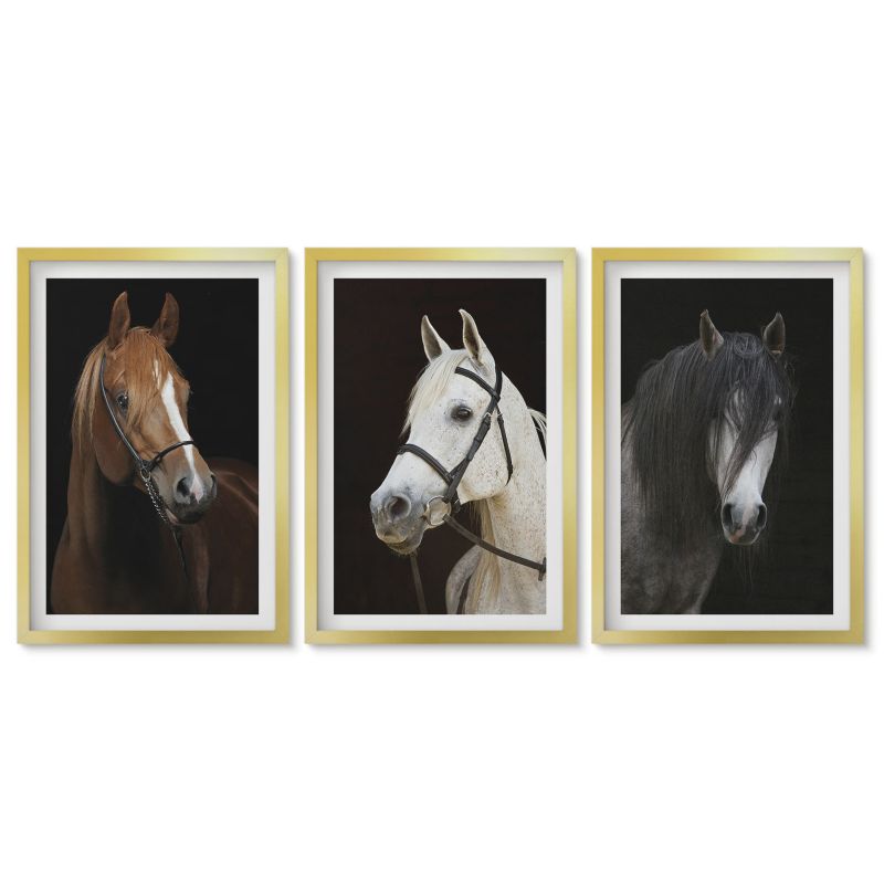 Obrazy w złotej ramie Tulup 40x60 cm Portrety koni w odcieniach sierści Obrazy do kuchni w ramie 1 kpl