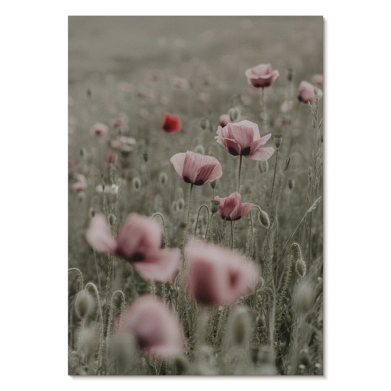 Obraz Plakat Canvas Tulup 29,7x42 cm (A3) Delikatne maki Do sypialni, salonu, biura 1 szt.