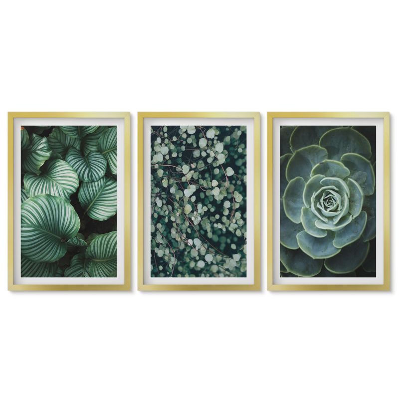 Zestaw 3 obrazów w złotej ramie Tulup 40x60 cm Zielone liście sukulenty styl Obrazy do kuchni w ramie 1 kpl