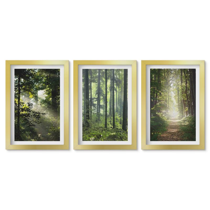 Seria obrazów 3 sztuki Tulup 20x30 cm Zielone lasy z promieniami światła Obrazy nad biurko zestaw złota rama 1 kpl