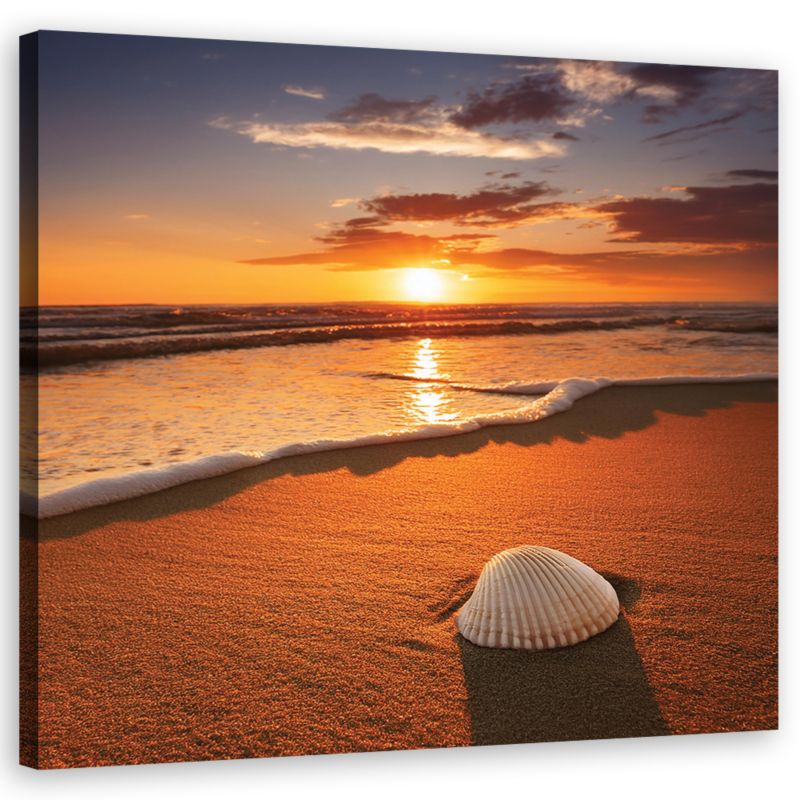 Obraz do salonu sypialni Feeby Muszla Plaża Słońce 30x30 cm 1szt