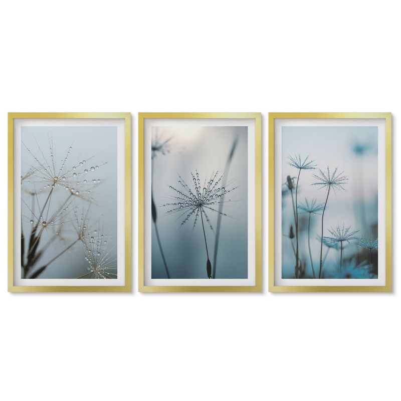 Obrazy w złotej ramie Tulup 40x60 cm Dmuchawce z kroplami wody Obrazy do kuchni w ramie 1 kpl