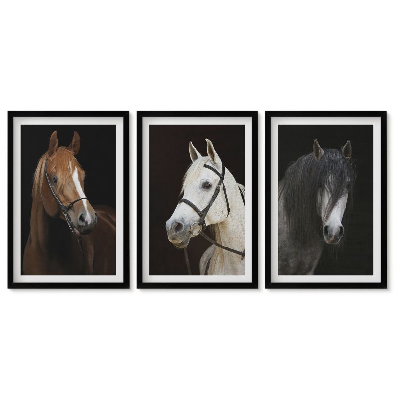Obrazy w czarnej ramie Tulup 40x60 cm Portrety koni w odcieniach sierści Obrazy do kuchni w ramie 1 kpl
