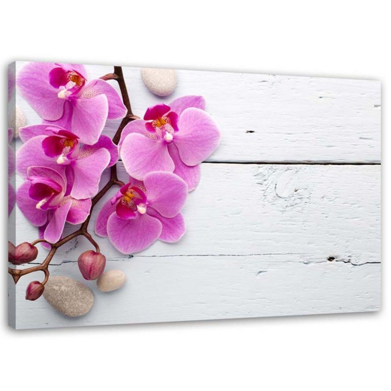 Obraz na płótnie Feeby Różowa orchidea i pąki 45x30cm 1szt