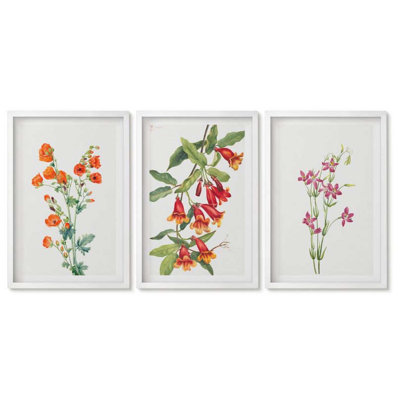 Trzy obrazy w białej ramie zestaw Tulup 40x60 cm Malunek kwiatów vintage retro Obrazy do kuchni w ramie 1 kpl