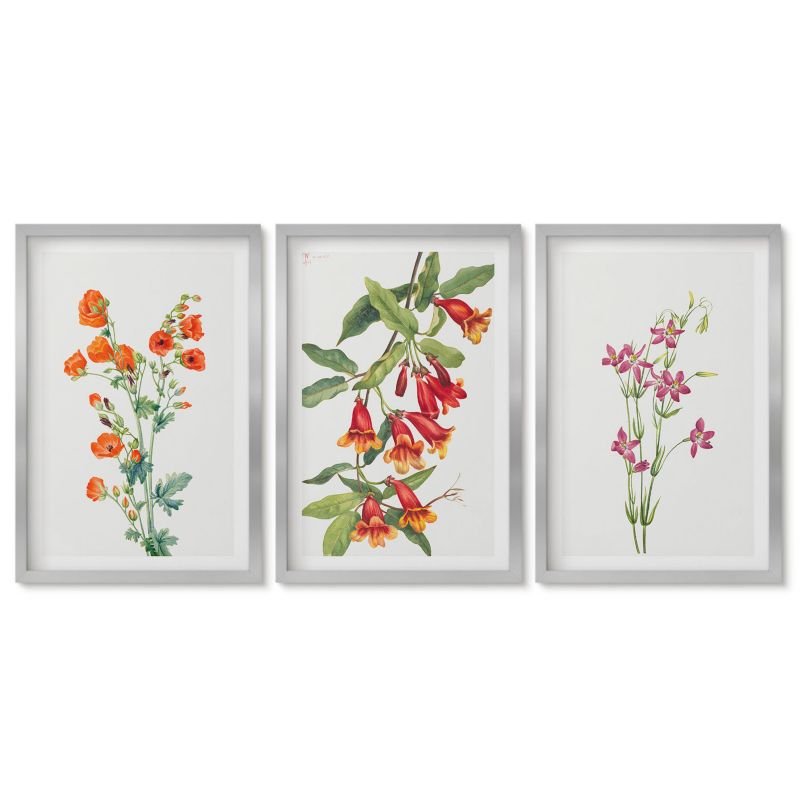 Trzy obrazy w srebrnej ramie zestaw Tulup 40x60 cm Malunek kwiatów vintage retro Obrazy do kuchni w ramie 1 kpl