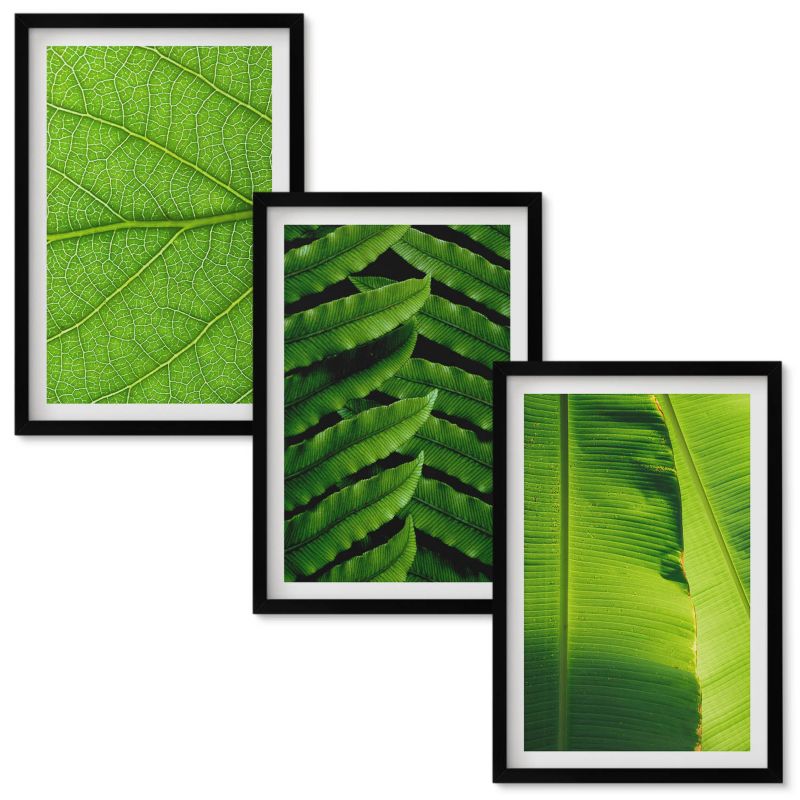 Obrazy Do Sypialni Wallfluent Liście tropikalne makrofotografia Czarna rama 40x60 cm 3 szt.