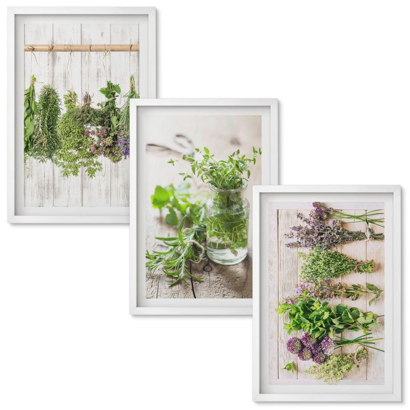 Obrazy Do Sypialni Wallfluent Zioła rośliny do kuchni Biała rama 40x60 cm 3 szt.