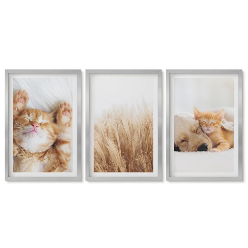Trzy obrazy w srebrnej ramie zestaw Tulup 40x60 cm Słodkie zwierzaki koty psy boho Obrazy do kuchni w ramie 1 kpl