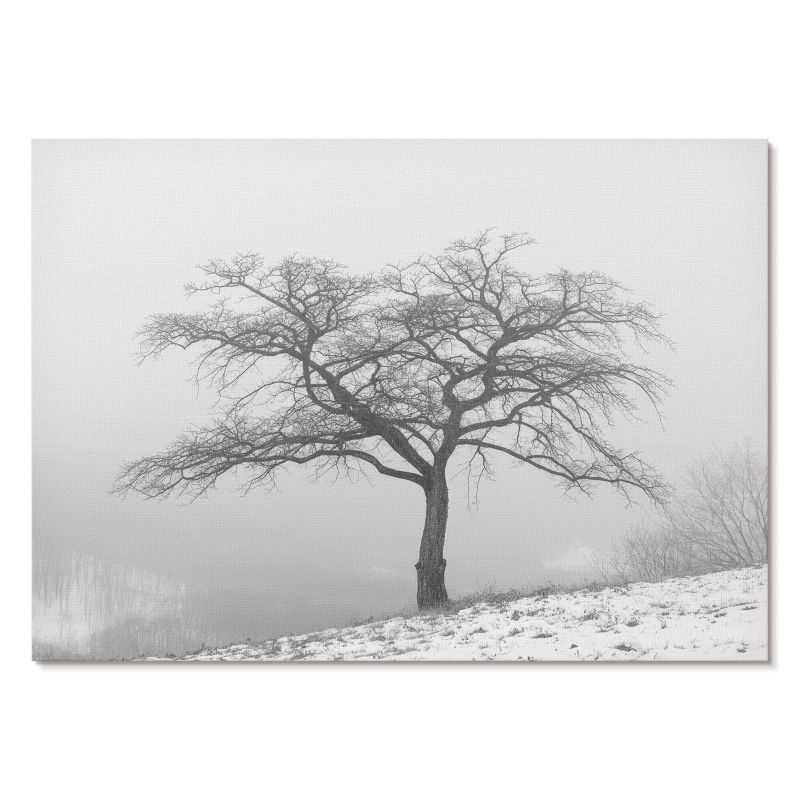 Obraz Plakat Canvas Tulup 59,4x42 cm (A2) Zimowe drzewo Do sypialni, salonu, biura 1 szt.