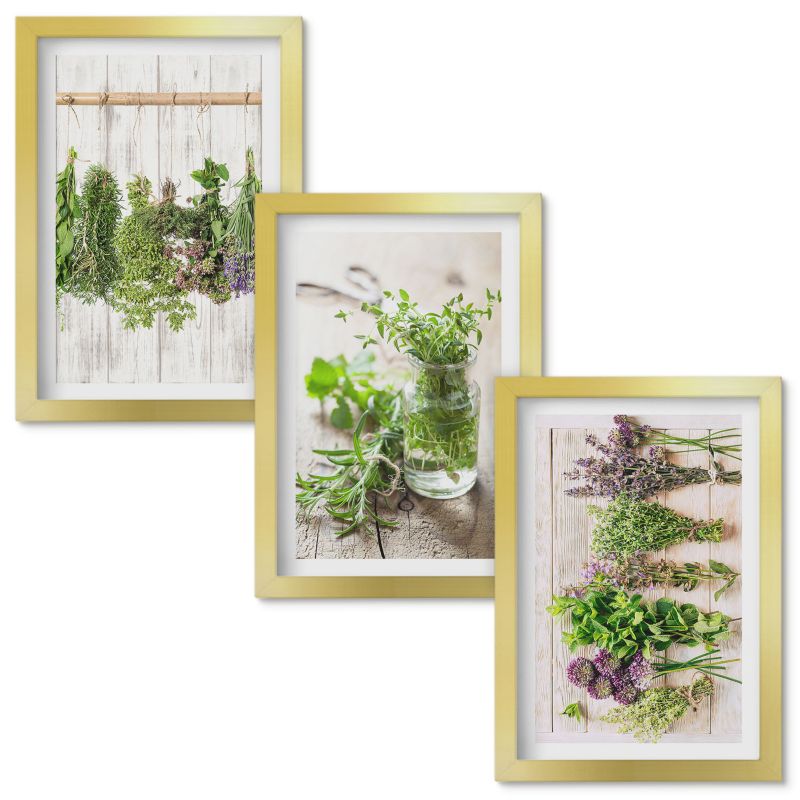Obrazy Do Sypialni Wallfluent Zioła rośliny do kuchni Złota rama 20x30cm 3 szt.