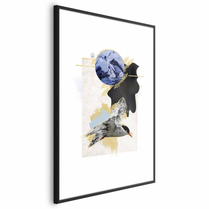 Plakat Artgeist Rybitwa antarktyczna 40x60 cm z ramą czarną 1 szt