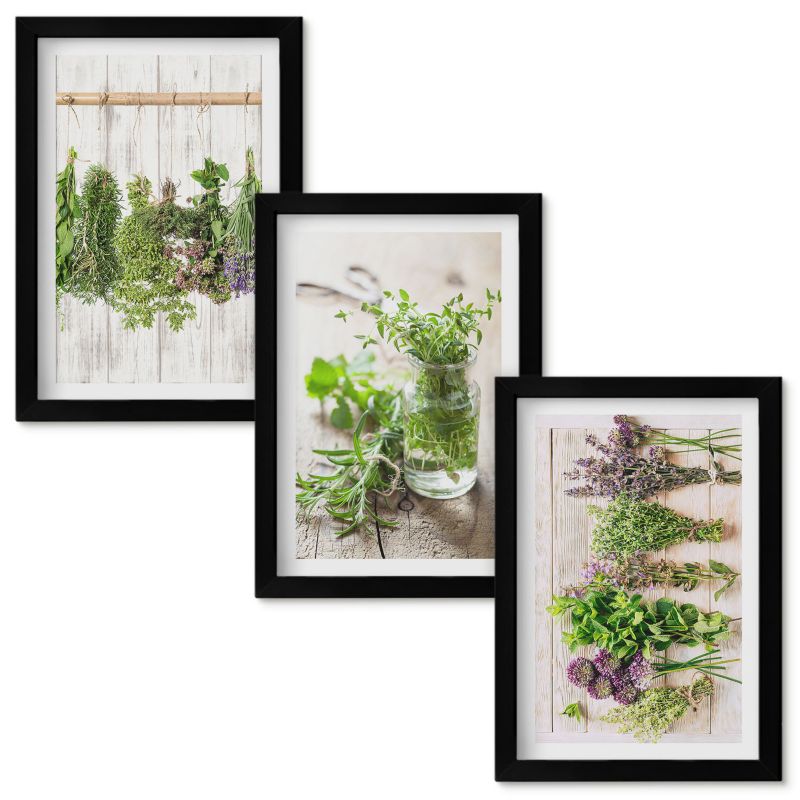 Obrazy Do Sypialni Wallfluent Zioła rośliny do kuchni Czarna rama 20x30cm 3 szt.