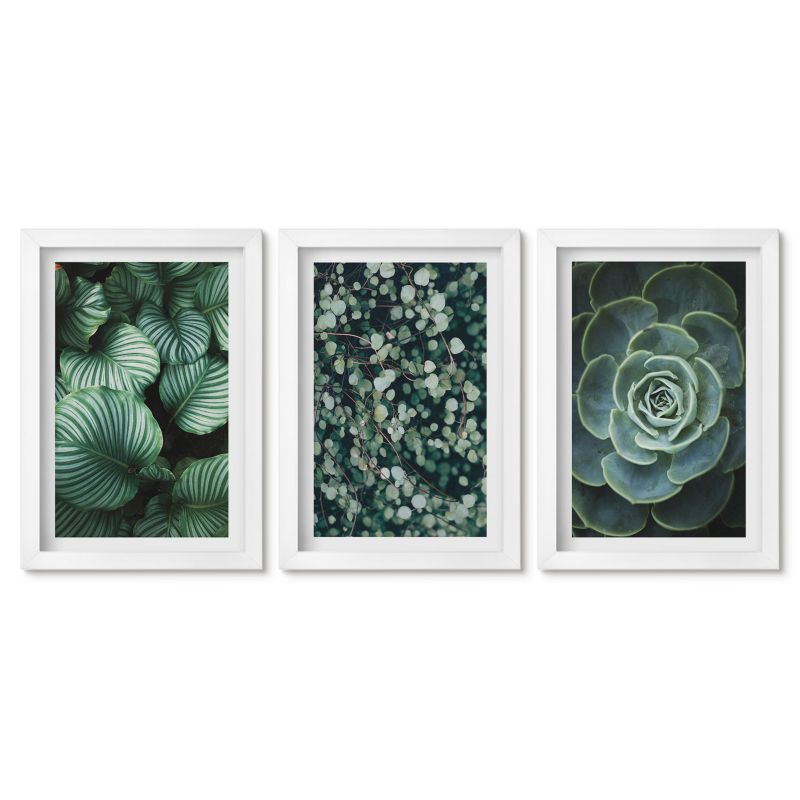 Zestaw 3 obrazów w białej ramie Tulup 20x30 cm Zielone liście sukulenty styl Małe obrazy do kuchni w ramie 1 kpl