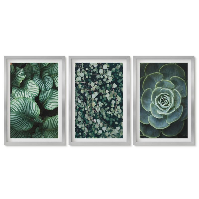 Zestaw 3 obrazów w srebrnej ramie Tulup 40x60 cm Zielone liście sukulenty styl Obrazy do kuchni w ramie 1 kpl