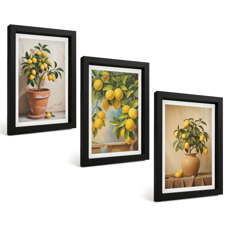 Zestaw 3 Obrazów w Czarnej Ramie ArtPrintCave 20x30 cm Galeria Ścienna Cytrynowe drzewka doniczki wazon 1 kpl.