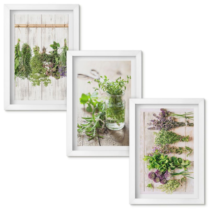 Obrazy Do Sypialni Wallfluent Zioła rośliny do kuchni Biała rama 20x30cm 3 szt.