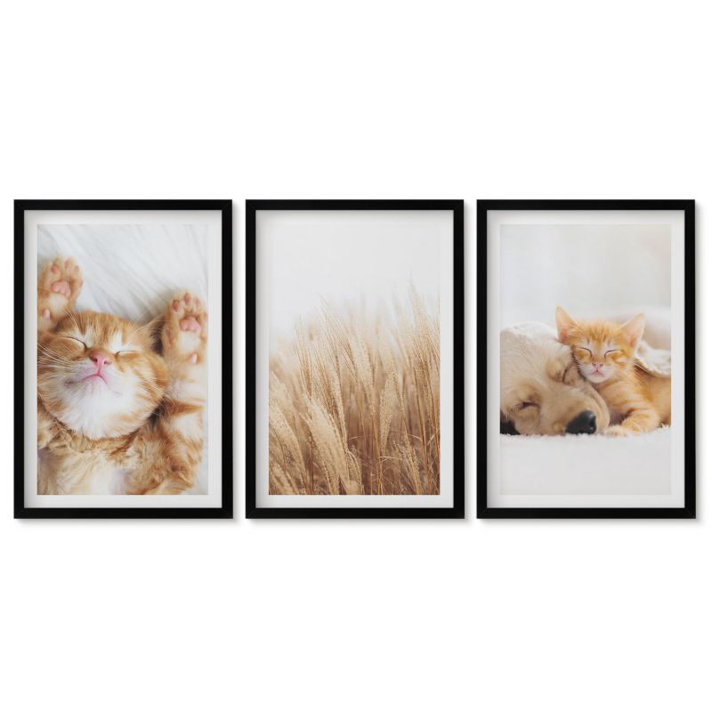 Trzy obrazy w czarnej ramie zestaw Tulup 40x60 cm Słodkie zwierzaki koty psy boho Obrazy do kuchni w ramie 1 kpl