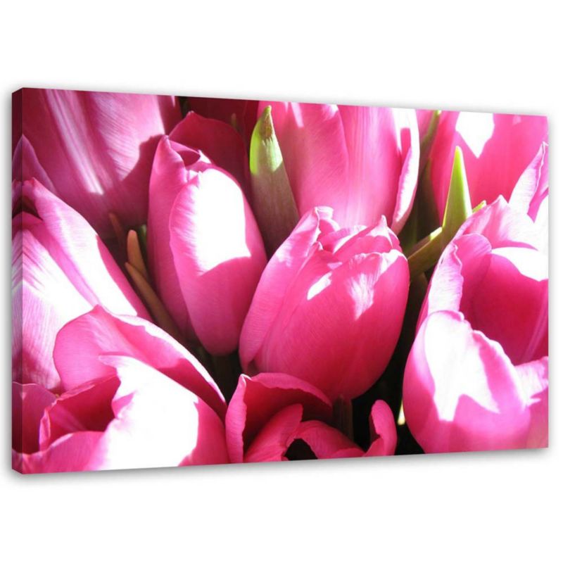 Obraz na płótnie Feeby Bukiet różowych tulipanów 45x30cm 1szt