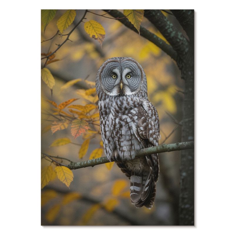Obraz Plakat Canvas Tulup 42x59,4 cm (A2) Jesienna sowa Do sypialni, salonu, biura 1 szt.