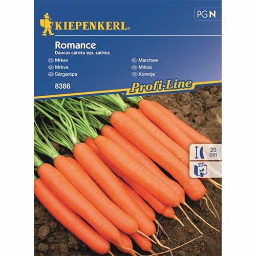1 szt, Marchew Romance Kiepenkerl - Nasiona: Ilość w opakowaniu: 1 opak
