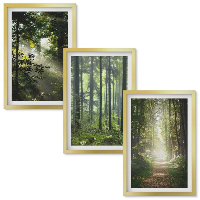 Obrazy do Salonu Wallfluent Zielone lasy z promieniami światła Złota rama 40x60 cm 3 szt.