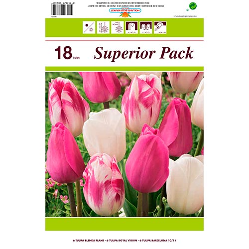 18 kus, Super nabídka! Sada tulipánů Ranní svítání - : Monžstvo balíkov: 18 kus