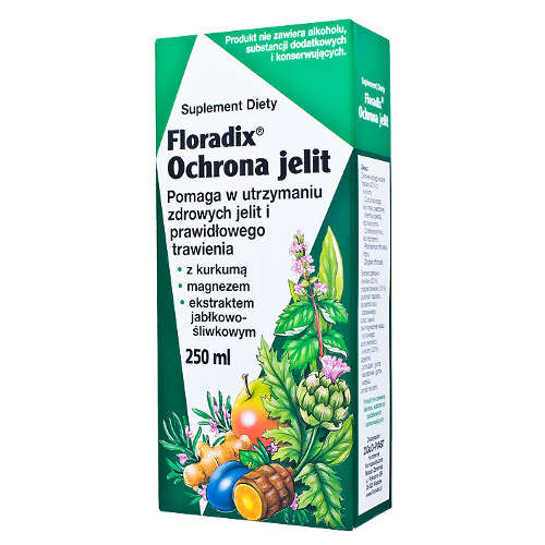 Floradix ochrona jelit, płyn, 250 ml (data ważności: 30.09.2026)
