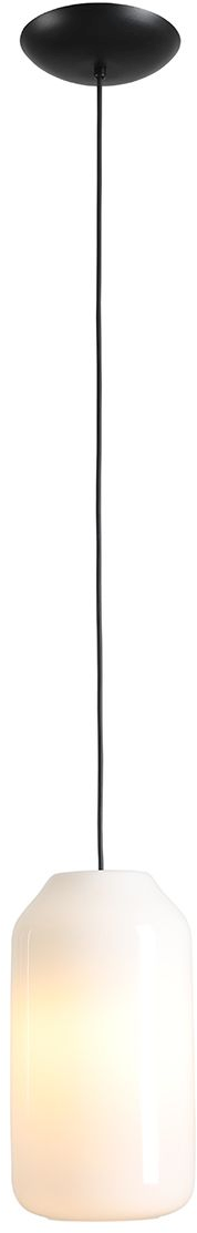 Darmowa Dostawa - Lampa wisząca 1x15 W czarna Aldex Flask M 8500G1M