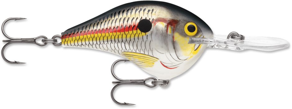 Rapala Wobler DT 12 Pływający 6cm #SD