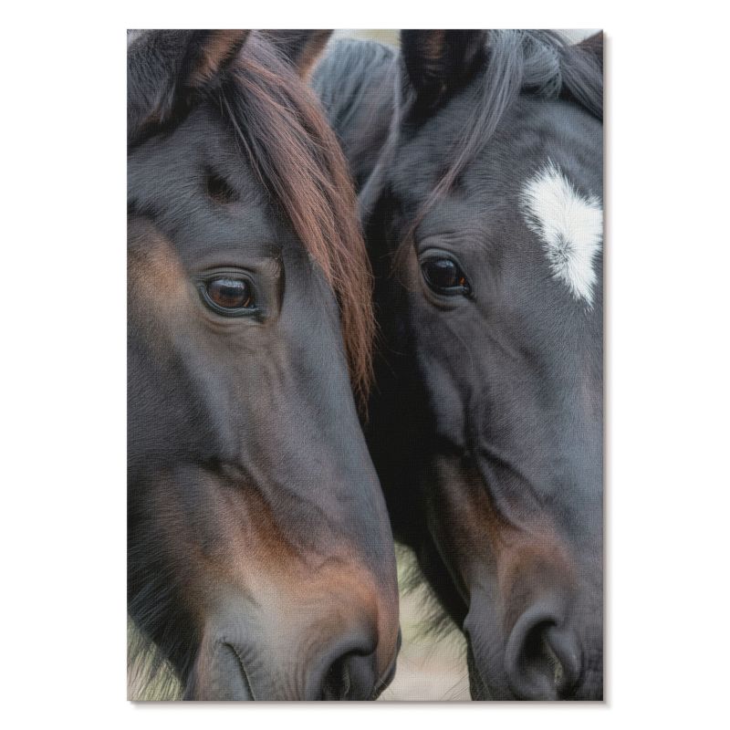 Obraz Plakat Canvas Tulup 29,7x42 cm (A3) Dwa konie Do salonu, biura, sypialni 1 szt.