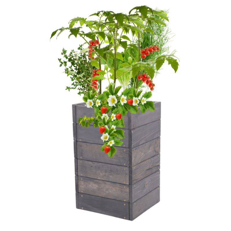 Warzywniak drewniany MODO24 grządka szara impregnacja 54x33x30 cm 1 szt.