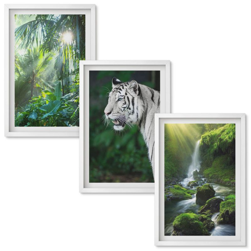 Set Obrazów w Ramie Wallfluent Dżungla tygrys wodospad Biała rama 40x60 cm 3 szt.