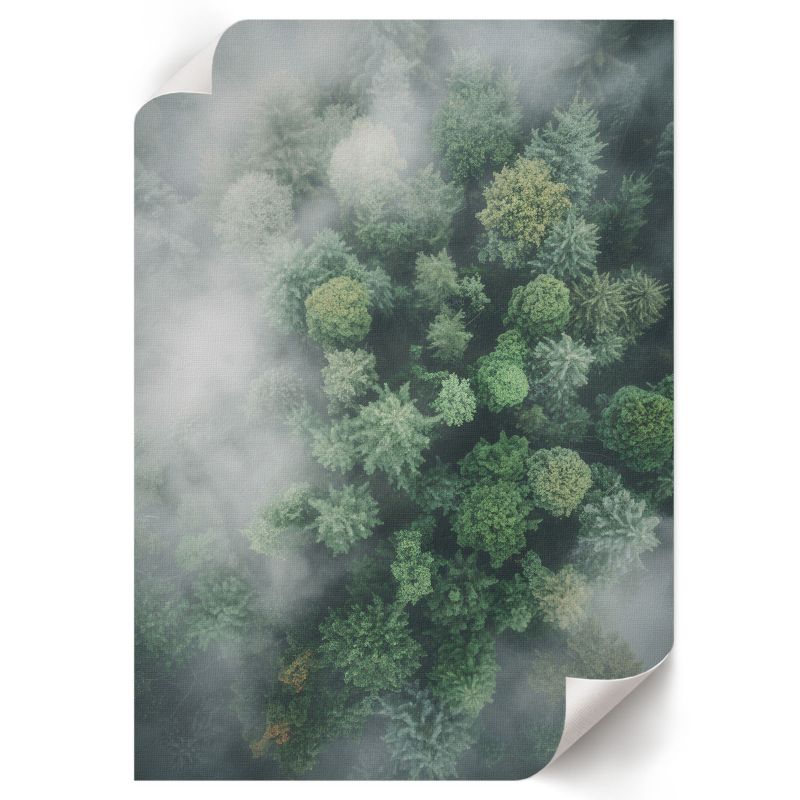 Plakat Na Płótnie ArtPrintCave 29,7x42 cm Leśna mgła Nevara 1 szt.