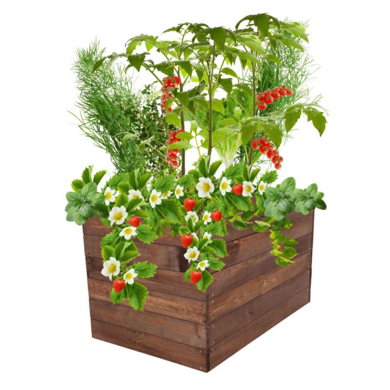 Warzywniak MODO24 grządka podwyższona brązowa impregnacja 54x103x90 cm 1 szt.