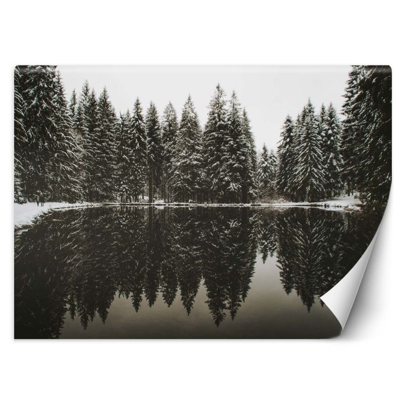 Fototapeta Feeby Jezioro las zima natura 350x245 1 szt
