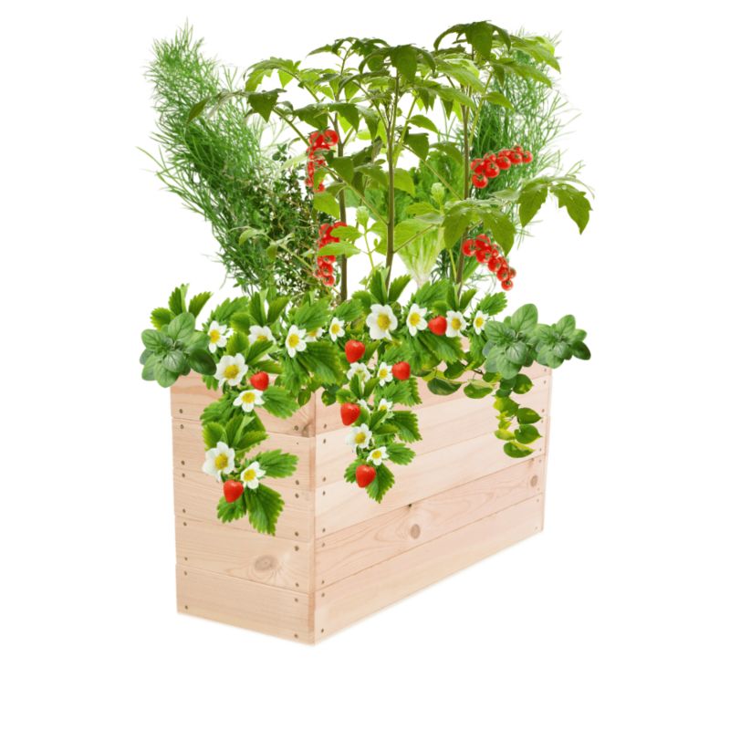 Donica na warzywa MODO24 warzywniak naturalne drewno 45x83x30 cm 1 szt.