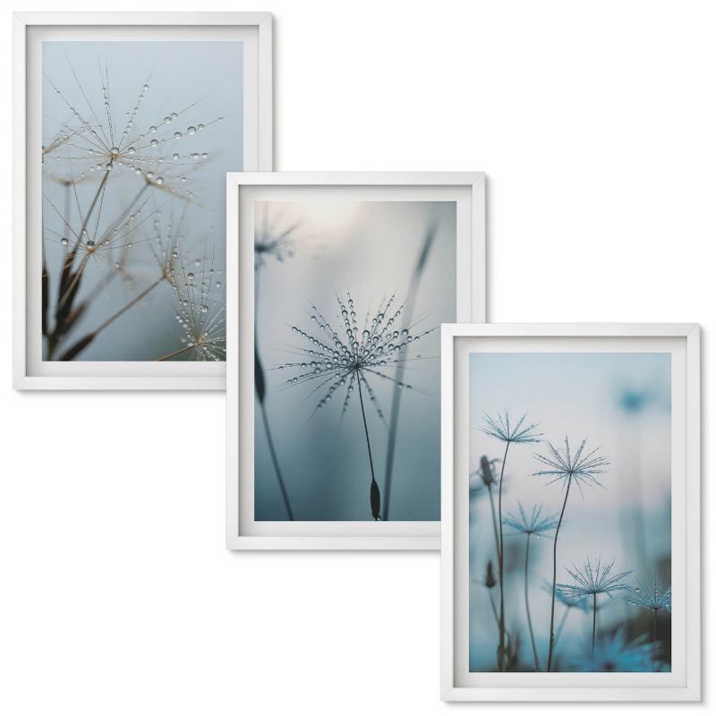 Obrazy Do Sypialni Wallfluent Dmuchawce z kroplami wody Biała rama 40x60 cm 3 szt.