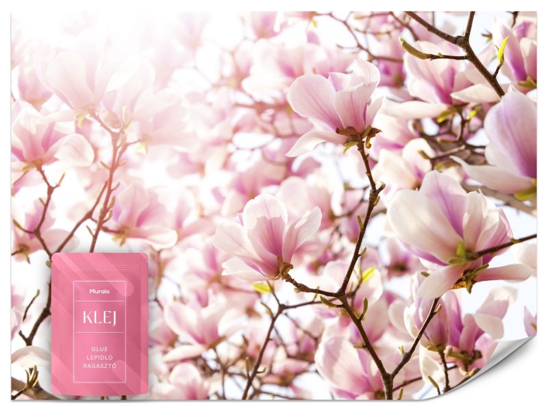 Fototapeta Muralo Kwiaty Magnolii Przyroda 200x140 cm 1szt.