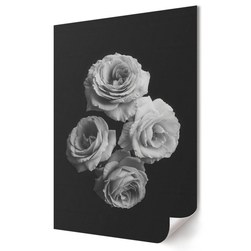 Plakat canvas Wallfluent Format A2 Cztrery róże Kolektyw View 1 szt.