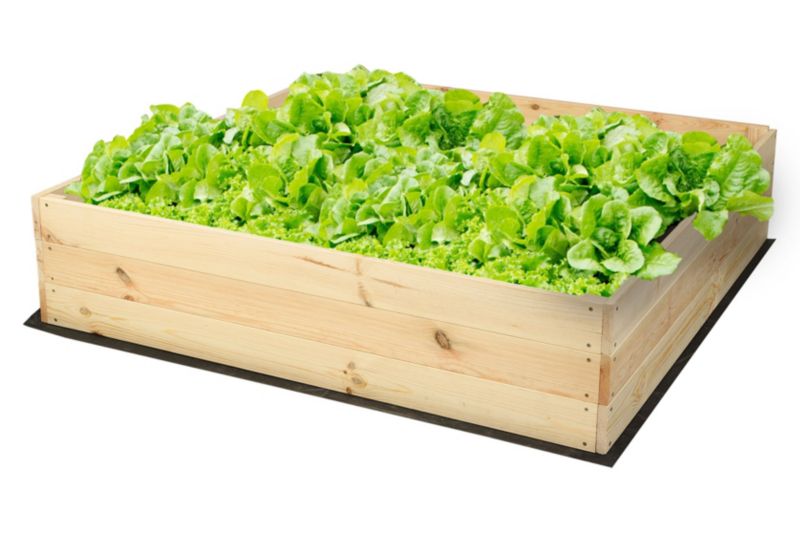 Warzywniak MODO24 grządka naturalne drewno 27x120x117 cm 1 szt.