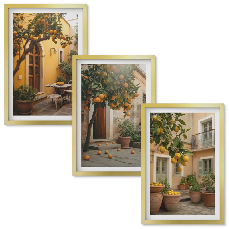 Obrazy do Salonu Wallfluent Ogród cytrusy słońce Złota rama 40x60 cm 3 szt.