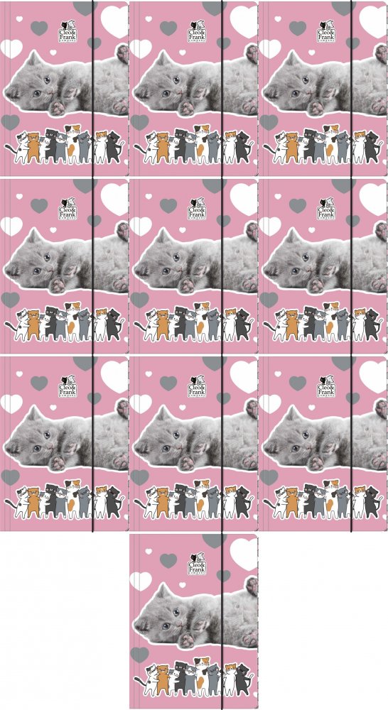 10x Teczka kartonowa z gumką Derform Cleo&Frank 39, A4, 3mm, mix kolorów